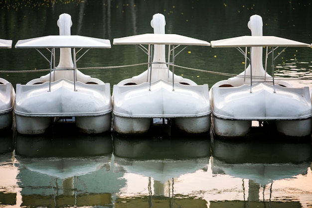 Лебединые лодки в озере