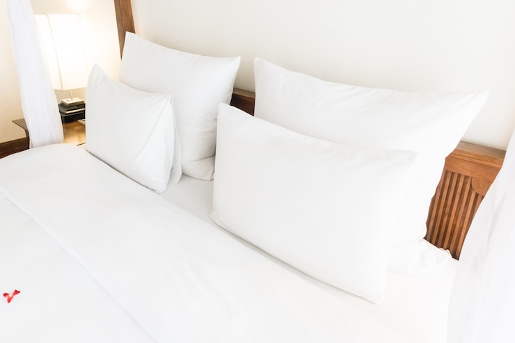 Free Photo swan towel