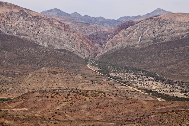 Foto gratuita il passo di montagna di swartberg vicino alla città di prince albert, sud africa