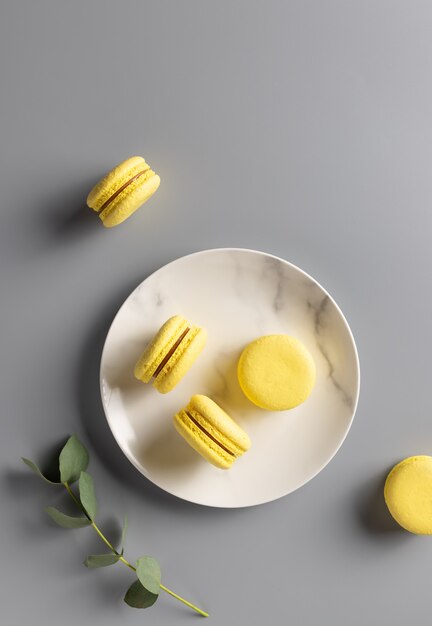 Sweet macarons on plate with eucalyptus branch. concept of color of year 2021