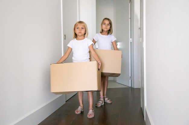 Sweet pretty girls moving in new flat, carrying carton boxes in corridor