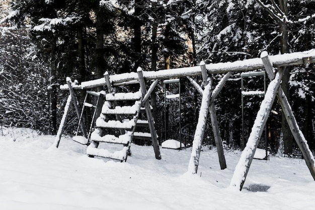 Swings in winter forest