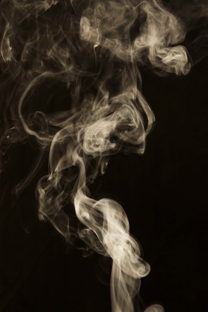 Free photo swirl movement of white smoke over black background