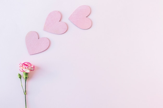 Symbols of paper heart near fresh flower