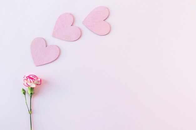 Symbols of paper heart near fresh flower