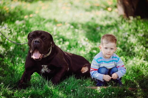 The sympathetic boy sitting near dog in the park