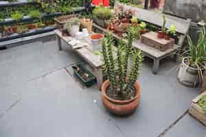 Free photo table and bench full of plants