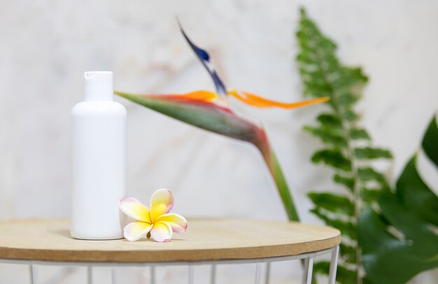 Table with clear white bottle and green palm leaves over marble wall