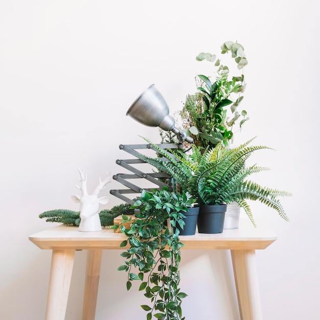 Table with many plants