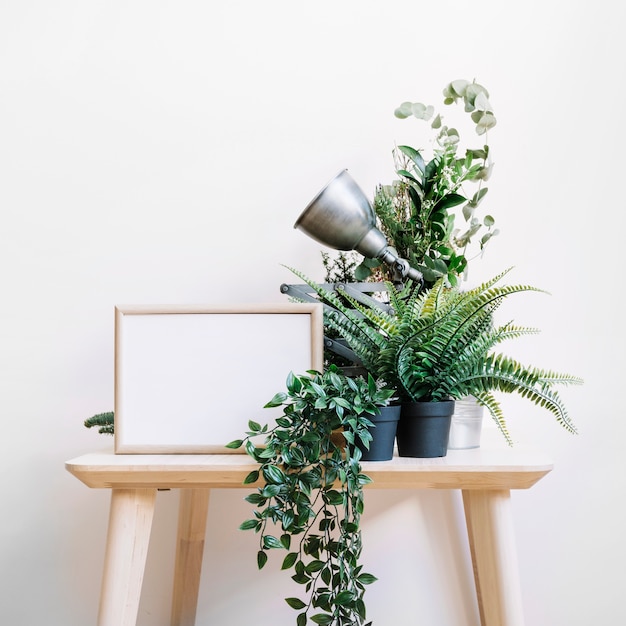 Стол с растениями рядом с рамой