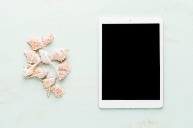 Tablet with shells on light background