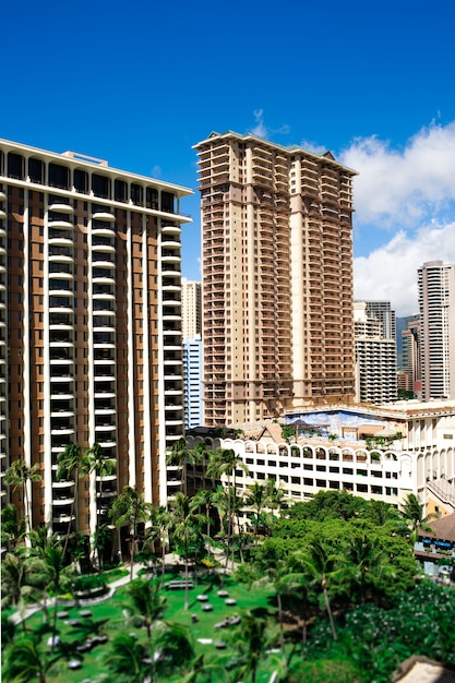 Tall brown skyscrapers and green palms before them