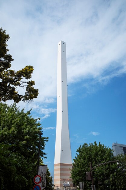 Tall chimney surrounded by trees