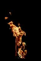 Free photo tall flame of fire