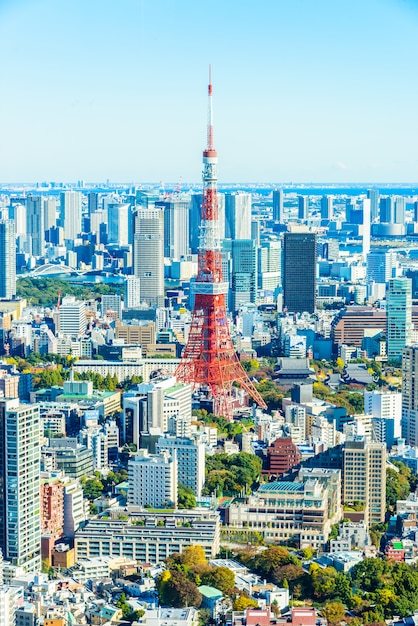 背の高い空地区東京光