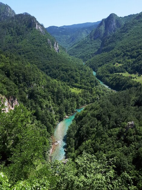 Tara River Canyon in Montenegro