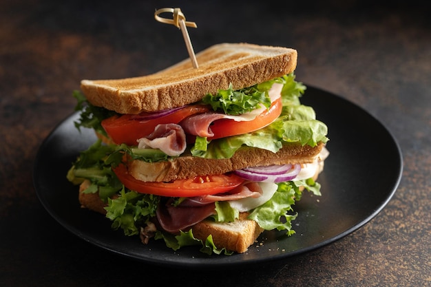 Tasty appetizing sandwich with ham and vegetables served on plate