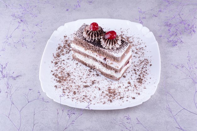 Tasty chocolate cake on white plate. High quality photo