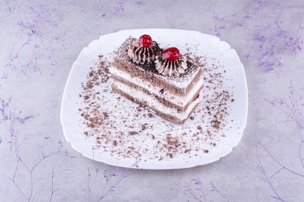 하얀 접시에 맛있는 초콜릿 케이크. 고품질 사진