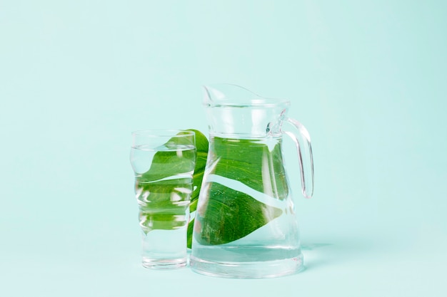 Free photo tasty leaves of mint behind jug of water