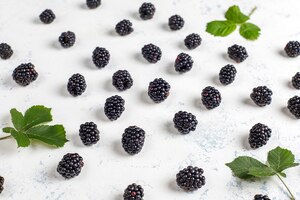 tasty ripe sweet healthy blackberry.