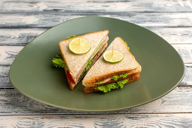 tasty sandwiches inside green plate on grey