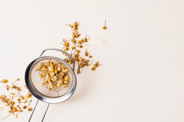 Tea herbs in strainer