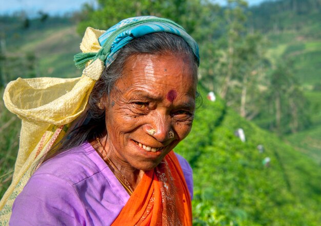 Tea picker at a plantation in Sri Lanka