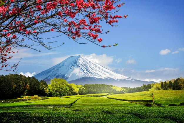 1 000 Overlooks Pictures 1 000 Overlooks Pictures