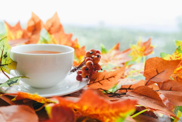 Tea set among autumn leaves