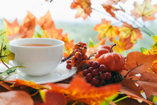 Tea set near autumnal leaves and berries 