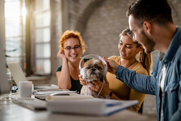 사무실에서 개에게 헤드폰을 주는 동안 즐거운 시간을 보내는 창의적인 비즈니스 동료 팀 포커스는 개에 있습니다