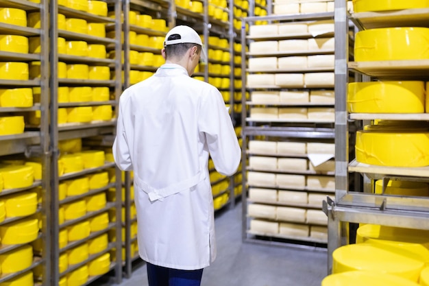 Technologist in a white coat is in the warehouse of cheese in the shop for the production of butter and cheese Quality control at the dairy plant Racks with cheese