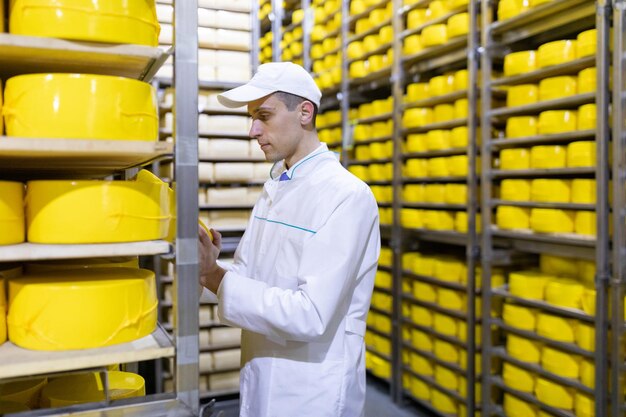 치즈를 손에 들고 있는 기술자는 유제품 공장 부서에서 준비된 생산을 검사합니다