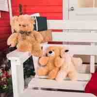 Free photo teddys on bench