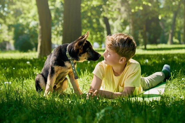 夏の公園で草の上に横たわっている子犬とティーンエイジャー