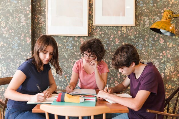 Teenagers doing homework in cafe