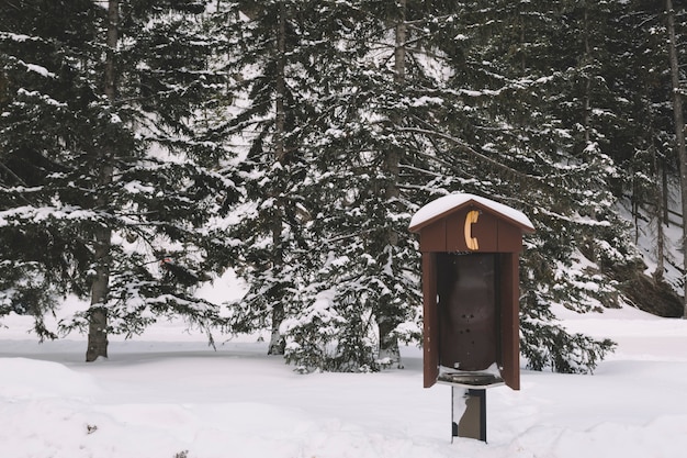 Telephone box in snowy forest