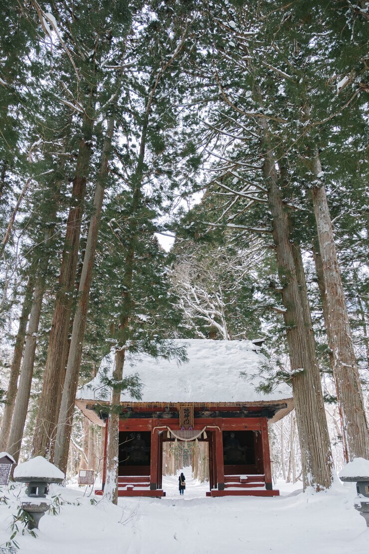 Free Photo temple in snow forest at togakushi shrine, japan