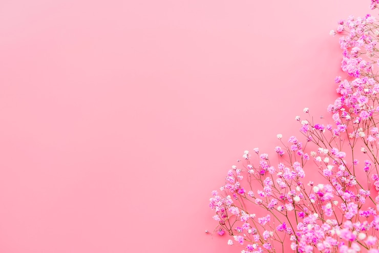 무료 Photo 부드러운 꽃 나뭇 가지
