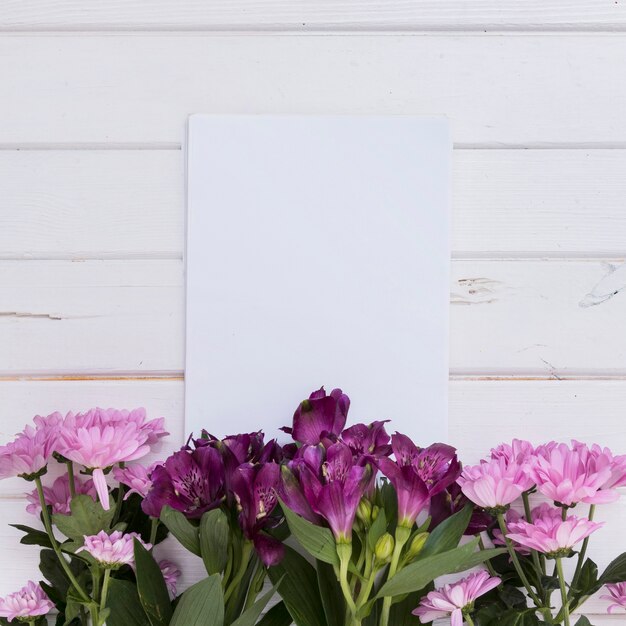 Tender pink flowers above paper card