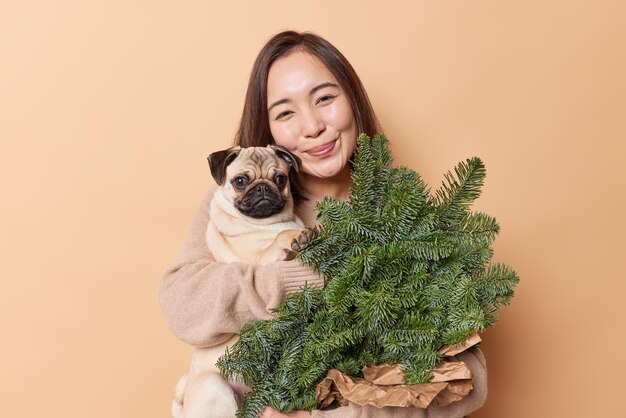 Tender pretty woman with eastern appearance holds pug dog green fir tree branches for decoration before New Year wears cashmere jumper isolated over beige background. Friendship between pet and owner