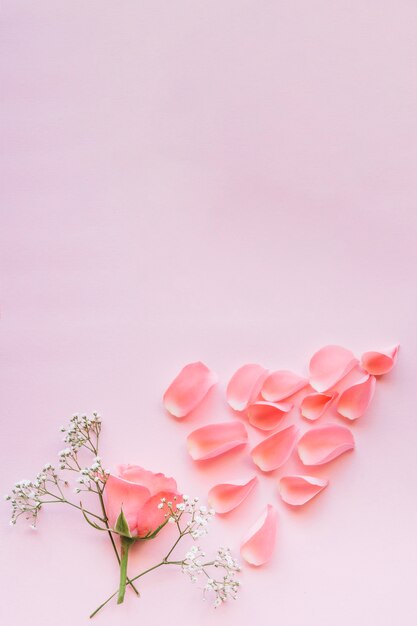 Tender rose and floral twigs