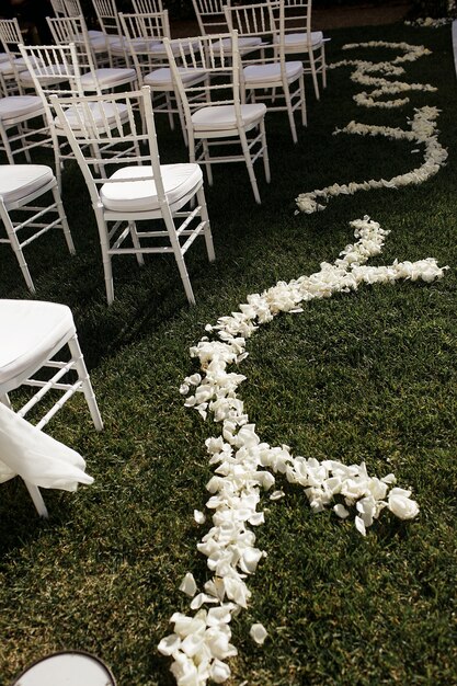 부드러운 흰 꽃잎이 하얀 의자를 따라 푸른 잔디에 놓여 있습니다.
