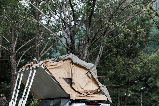 Tent over the camper van hood in the forest