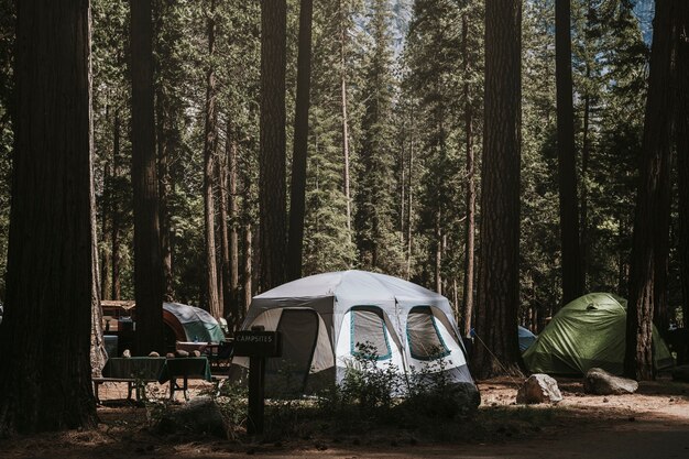 숲속의 야영장에서 텐트