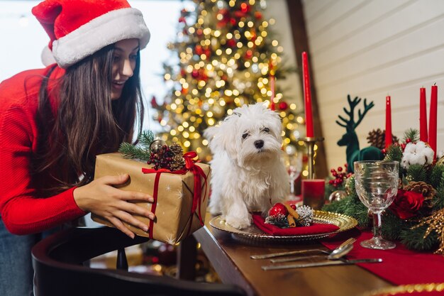 Terrier on a decorative Christmas table, a girl stands at the side and holds a gift