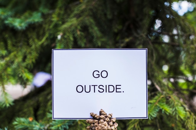 Free photo text go outside card over the pinecone in front of fir tree