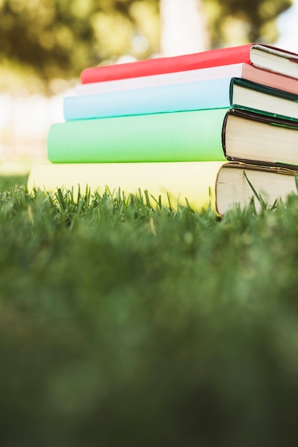 緑の芝生の上の明るいカバーと教科書の山