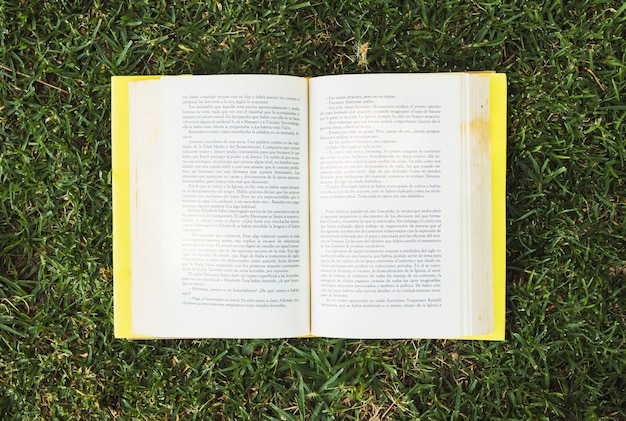 Textbook with colorful hardcover on meadow